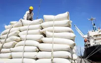 Tăng cường hợp tác thương mại gạo giữa Việt Nam và Singapore