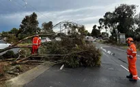 Hàng nghìn hộ dân miền Đông Australia mất điện sau mưa dông dữ dội