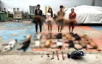 Bắt 4 đối tượng trộm cắp và tiêu thụ chó tại TP Hồ Chí Minh, thu giữ 19 con chó