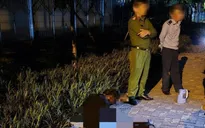 Trèo cột điện trộm cáp, kẻ gian bị phóng điện trọng thương