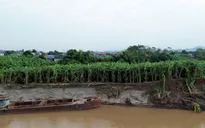 Phú Thọ công bố tình huống khẩn cấp sạt lở bờ sông đê tả hữu sông Thao 