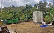 Bị thùng container va vào đầu, tài xế xe cẩu ở Lâm Đồng tử vong