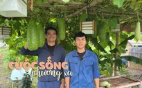 VTV4 ra mắt nhiều chương trình mới