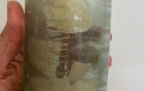 Lá thư tay giấu trong chai của 2 binh sĩ Thế chiến I trôi dạt vào bờ biển Australia sau hơn 100 năm