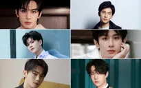 Top 6 nam nghệ sĩ điển trai luôn gây tranh cãi diễn xuất