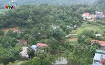 Nhiều diện tích đất có sổ đỏ ở Hà Nội biến thành đất rừng