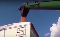 Trung Quốc sẽ mua 12 triệu tấn đậu tương Mỹ