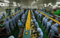 Giữ vững ổn định kinh tế vĩ mô, kỳ vọng tạo đà 'bứt phá' năm 2025