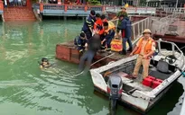 Đã tìm thấy thi thể nạn nhân đuối nước tại lòng hồ Hòa Bình