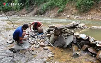 Nghệ An: Bản nghèo Na Ngân ‘khát’ điện lưới sau mưa lũ