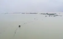 Quảng Trị: 4 người chết, 1 mất tích, hơn 3.600 nhà dân chìm trong nước