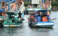 An Giang: Bắt 2 tàu cá tráo đổi thiết bị Giám sát hành trình vi phạm IUU