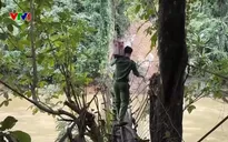 Công an, dân quân băng rừng, cõng lương thực tiếp tế cho người dân vùng sạt lở Đà Nẵng