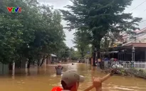 Đà Nẵng lũ chồng lũ, người dân kiệt quệ vì mất trắng hoa màu, gia súc, gia cầm