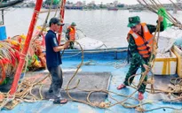 Quảng Ngãi: Sẵn sàng phương án ứng phó với bão mạnh đổ bộ