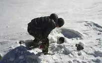 Bão tuyết dữ dội ở dãy Himalaya cướp đi sinh mạng của ít nhất 9 người