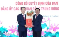 Ông Nguyễn Văn Quảng giữ chức Bí thư Đảng ủy Tòa án nhân dân tối cao