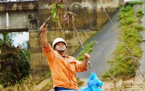 Gần 100% khách hàng tại miền Trung được khôi phục cấp điện sau mưa lũ