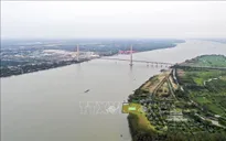 Từ ngày 7-10/11, lũ kết hợp triều cường khiến nước sông Cửu Long lên cao