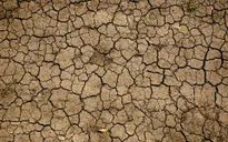 Hạn hán nghiêm trọng tại Athens, Hy Lạp