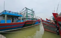 Gỡ thẻ vàng: Thanh Hóa siết kiểm soát tàu cá