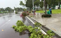 Thanh Hóa đến Hà Tĩnh mưa lớn, nhiều vùng biển gió mạnh