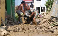 Bão Kalmaegi gây hậu quả nghiêm trọng về tài sản và hàng trăm sinh mạng ở Philippines 