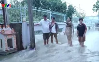 Đồng Tháp ngập nặng do triều cường lịch sử, hàng trăm ha vườn cây ăn trái bị nước nhấn chìm