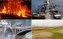 Khủng hoảng khí hậu khiến 250 triệu người phải di dời trong 10 năm