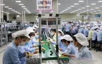 Cải thiện môi trường kinh doanh thu hút FDI bền vững