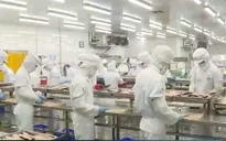 Bảo đảm nguồn cung, bình ổn thị trường hàng hóa mùa mưa bão và cuối năm