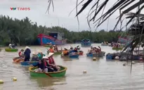 Nhiều du khách quốc tế trở lại Hội An sau ảnh hưởng lũ lụt