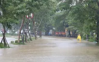 Từ Quảng Trị đến Khánh Hòa chủ động ứng phó với mưa lớn, có nơi vượt 700mm