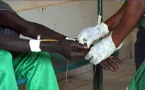 Châu Phi trải qua đợt dịch tả tồi tệ nhất trong 25 năm