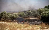 Israel thiết lập vùng quân sự ở Bờ Tây, ngăn cản người Palestine thu hoạch ô liu