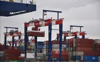 Mỹ giảm thuế nhập khẩu thịt bò, cà phê và nhiều loại thực phẩm