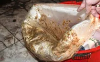 Triệt phá cơ sở chế biến mỡ động vật quy mô lớn trong nghĩa trang