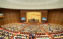 Ngày 17/11, trình Quốc hội dự thảo Nghị quyết về cơ chế, chính sách thực hiện Nghị quyết 71 và 72
