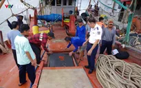 Bộ Tư lệnh Vùng Cảnh sát biển 3 phát hiện, xử lý 2 tàu cá vi phạm IUU