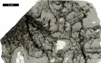 Công bố bằng chứng rõ nhất về sự sống cổ xưa trên Trái đất