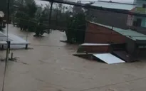 Lũ lên nhanh ở Đắk Lắk, nhiều vùng ngập 2-5 mét, cầu dân sinh và đường tỉnh bị sạt lở