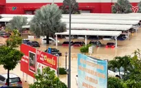 Khánh Hòa: Hàng trăm ô tô chìm trong nước lũ