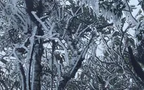 Nhiệt độ xuống dưới 0°C, đỉnh núi ở Lào Cai, Lai Châu xuất hiện băng giá