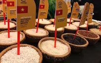 Cú hích mới cho xuất khẩu gạo Việt