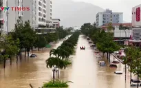 Khánh Hòa cảnh báo lũ khẩn cấp trên sông Dinh Ninh Hòa