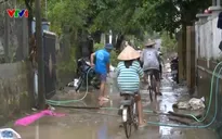 Trên 31.000 gia súc, gia cầm bị chết, ô nhiễm môi trường sau mưa lũ