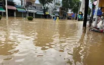 TP Hồ Chí Minh hỗ trợ tỉnh Khánh Hòa 50 tỷ đồng và hàng chục tấn hàng hóa, nhu yếu phẩm