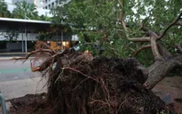 Bão Fina mang theo mưa to gió lớn, tàn phá phía Bắc Australia