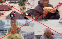 Tin giả mùa thiên tai: Đừng để fake news thổi bùng thêm bão dữ