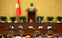 Ngày 25/11, Quốc hội thảo luận về dự án Luật Phòng, chống ma túy (sửa đổi)